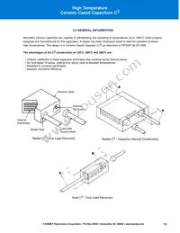 50HV24B102K Datasheet Page 13