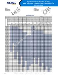 50HV24B102K Datasheet Page 16