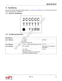 513BCB000599AAG Datasheet Page 21