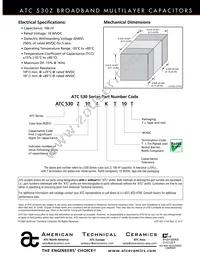 530Z104KT10T Datasheet Page 2