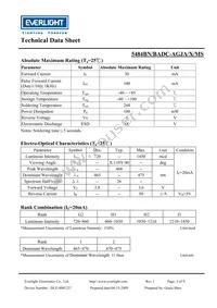 5484BN-BADC-AGJA-PR-MS Datasheet Page 3