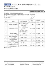 64-03/R6SGHBHC-B01/2T Datasheet Page 13