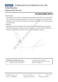 64-03/R6SGHBHC-B01/2T Datasheet Page 15