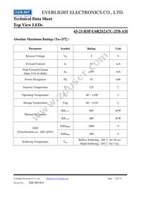 65-21-B3P-U6R2S2A7C-2T8-AM Datasheet Page 2