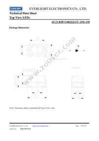 65-21-B3P-U6R2S2A7C-2T8-AM Datasheet Page 10