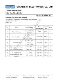 65-21/T2C-FV1W2E/2T Datasheet Page 9