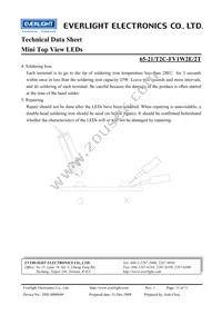 65-21/T2C-FV1W2E/2T Datasheet Page 11