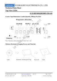 67-21-B3P-B3Q2R2M0C-2T8-AM Datasheet Page 13