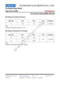 67-21-YSC-C2U2AABPE-2T8-AM Datasheet Page 4