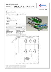 6MS10017E41W36460BOSA1 Datasheet Cover