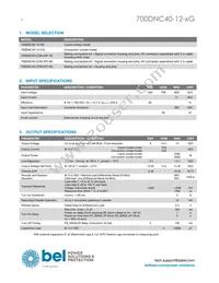 700DNC40-12-8G Datasheet Page 2
