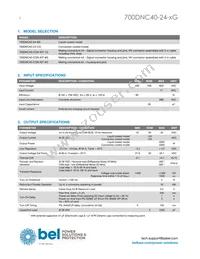700DNC40-24-8G Datasheet Page 2