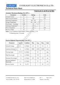 7343-G1C2-AUWA-X-MS Datasheet Page 3