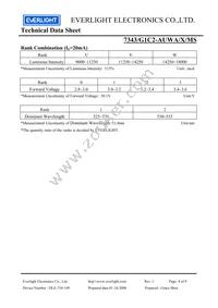 7343-G1C2-AUWA-X-MS Datasheet Page 4