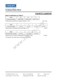 7343/R7C2-AQSB/MS Datasheet Page 4