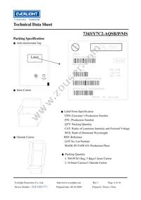 7343-Y7C2-AQSB-P-MS Datasheet Page 6