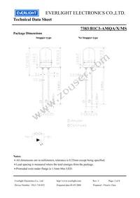 7383-B1C3-AMQA-MS Datasheet Page 2