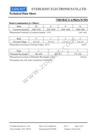 7383-B1C3-AMQA-MS Datasheet Page 4