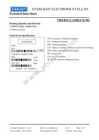 7383-B1C3-AMQA-MS Datasheet Page 6