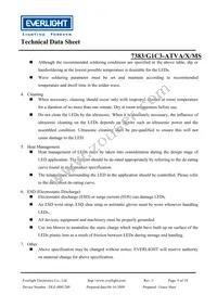 7383-G1C3-ATVA-MS Datasheet Page 9
