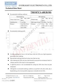 7383/R7C3-ARUB/P/MS Datasheet Page 8