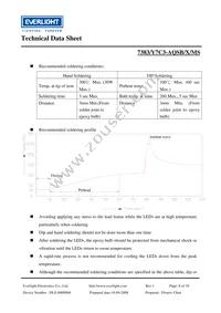 7383-Y7C3-AQSB-P-MS Datasheet Page 8