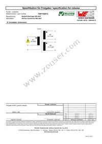 7491182012 Datasheet Page 2