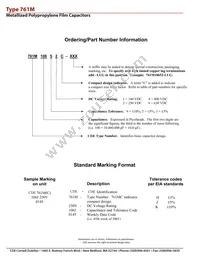 761M39556C-132 Datasheet Page 3