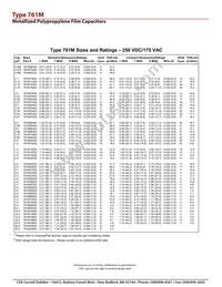 761M39556C-132 Datasheet Page 6