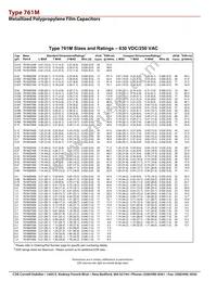 761M39556C-132 Datasheet Page 8