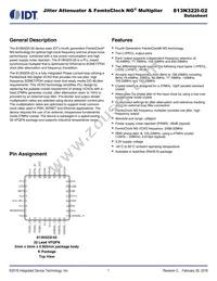 813N322CKI-02LFT Datasheet Cover