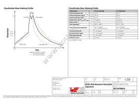 861140786018 Datasheet Page 4