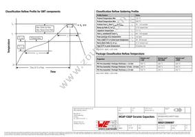 885012006087 Datasheet Page 3