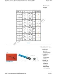 A1004BT22P0 Datasheet Page 17