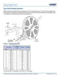 A700V227M002ATE007 Datasheet Page 13