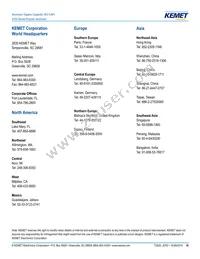 A700W107M002ATE016 Datasheet Page 18