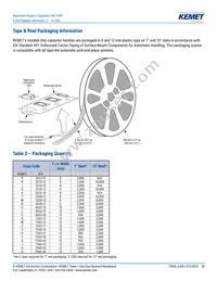 A700X127M010ATE010 Datasheet Page 13