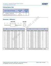 A72QT3100AA02M Datasheet Page 2