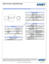 A758EK397M0JAAE016 Datasheet Cover