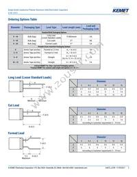 A759MS826M1JAAE050 Datasheet Page 2