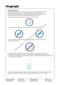 AA3021QBS/D Datasheet Page 2