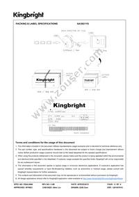 AA3021YS Datasheet Page 6