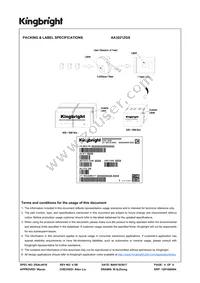 AA3021ZGS Datasheet Page 6