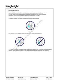 AA4040CGSK Datasheet Page 2