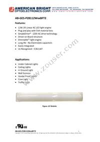 AB-GES-P28112W50BFT2 Datasheet Cover