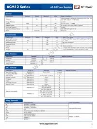 ACM12US18 Datasheet Page 2