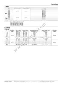 AEV19024 Datasheet Page 2
