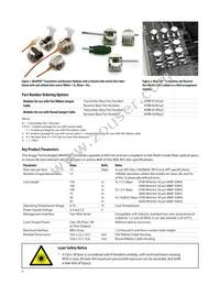 AFBR-824RN1Z Datasheet Page 2