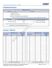 ALC10A102EL450 Datasheet Page 3