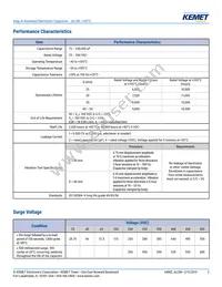 ALC80A163CB025 Datasheet Page 2